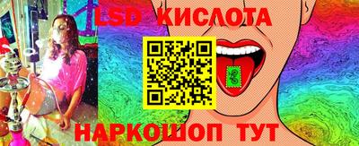 прущие грибы Комсомольск-на-Амуре