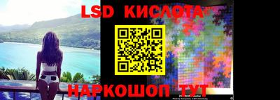 прущие грибы Комсомольск-на-Амуре