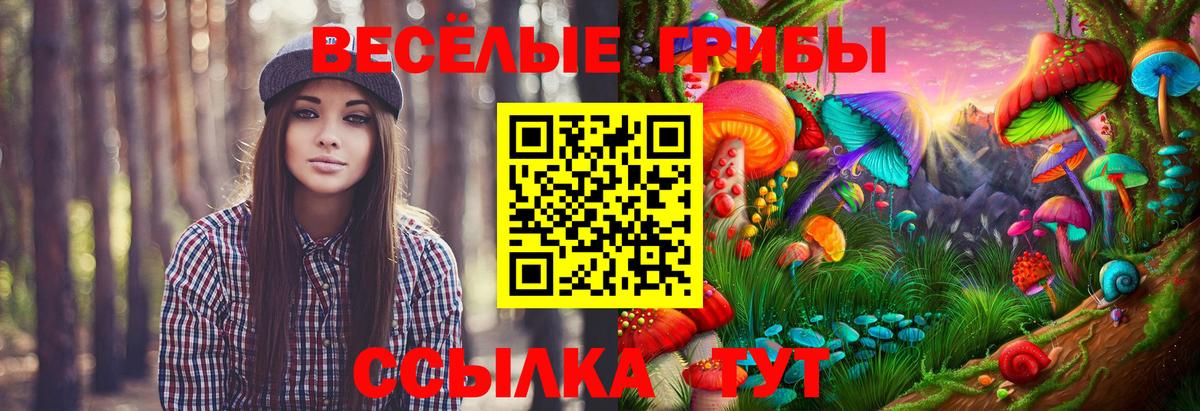 Псилоцибиновые грибы мухоморы  Вход с VPN  Кемерово 