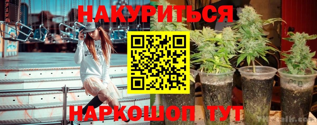 Каннабис марихуана  МАРИХУАНА VHQ  Шишки марихуана тримм  Вход с VPN  Кемерово  Шишки марихуана марихуана 